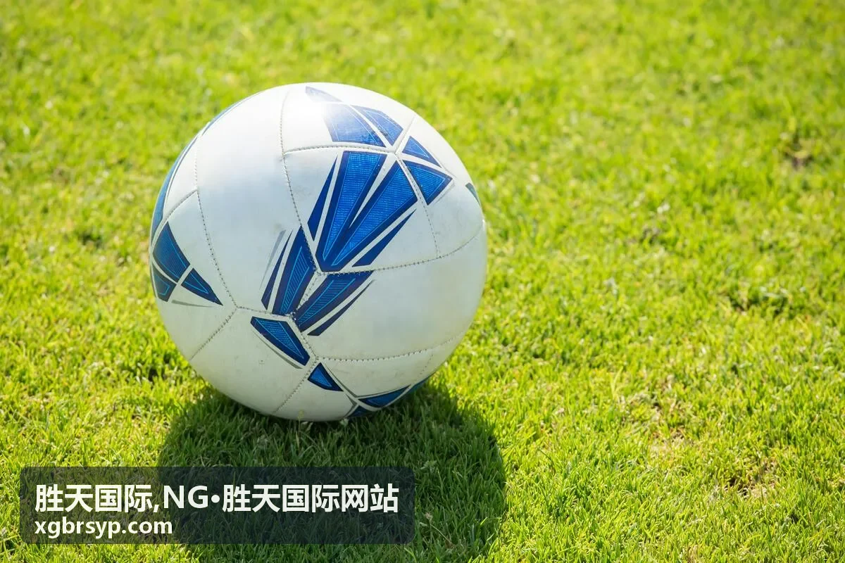 胜天国际 官方视觉展示图